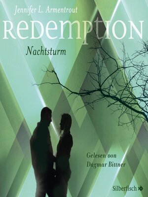 cover image of Redemption. Nachtsturm